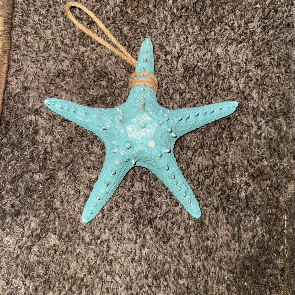 Turquoise Starfish Wall Decor